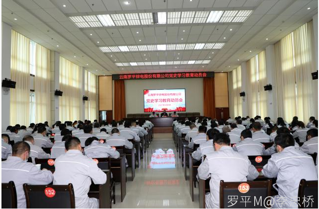 宝威体育手机在线登入,宝威(中国)召开党史学习教育动员会